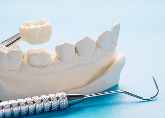 teeth and gum model with dental tools in front on a light blue background